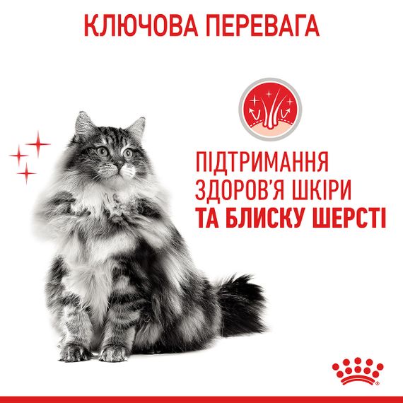 Влажный корм для взрослых кошек Royal Canin Hair&Skin care in gravy для здоровья кожи и блеска шерсти, 85 г | Зображення 2