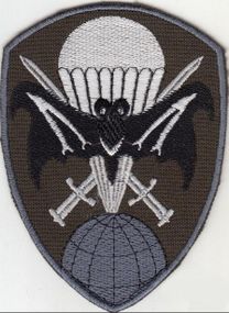 Шеврон 50 ЦСП