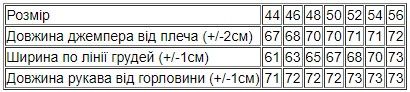 Худі для жінок Носи своє 48 Блакитний (p-14893-169853) | Зображення 4