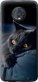 Чохол на Motorola Moto G6 Plus Димчастий кіт "825u-976-2448"