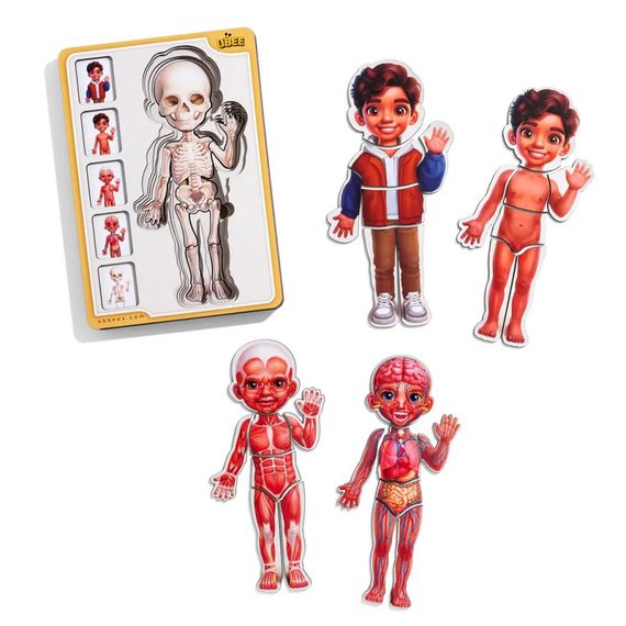 Дерев'яний пазл-вкладиш "Анатомія людини - хлопчик-2" (ПСД261) PSD261 будова тіла