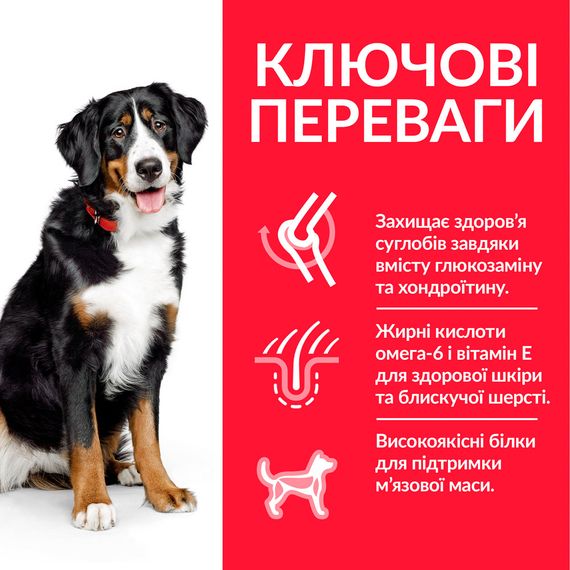 Сухий корм Hill's Science Plan для дорослих собак великих порід із куркою 14 кг | Зображення 2