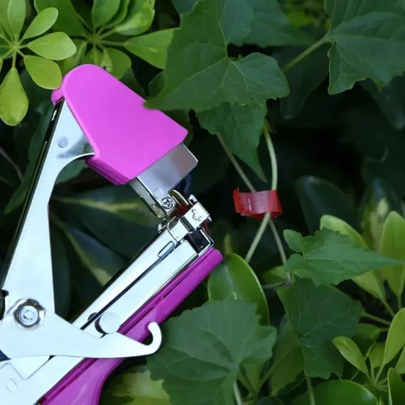 Скоби для садового підв'язувального степлера 10000 шт, 6х4 мм, 604С / Упаковка скоб для тапенера | Зображення 3