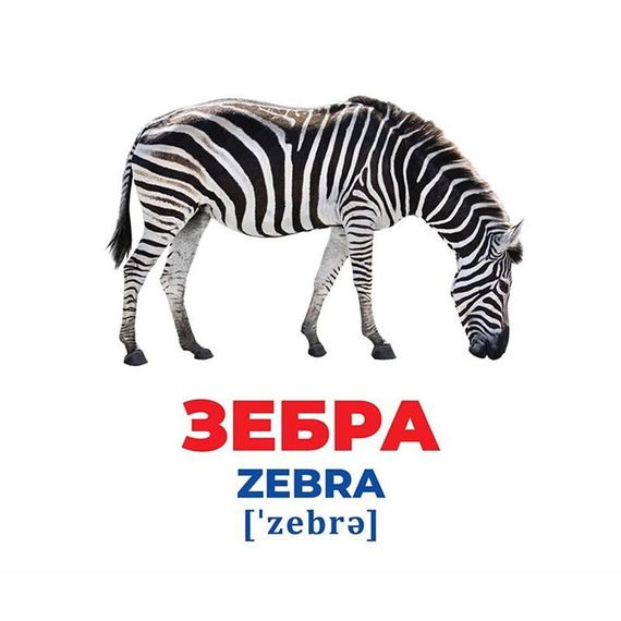 Набор развивающих карточек Гений с пеленок "Животные разных широт" 10107200, 17 карточек | Зображення 2