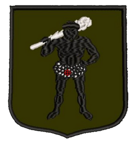 Шеврон Шведський Батальйон Самооборони