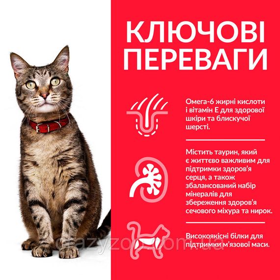 Сухий корм для котів Hill's Lamb з ягням 10 кг 604175 | Зображення 1