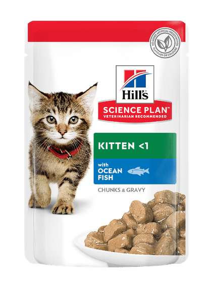 Hill's SP Kitten 85х12 шт Вологий корм для кошенят і кішок у період вагітності та лактації, з океанічною рибою
