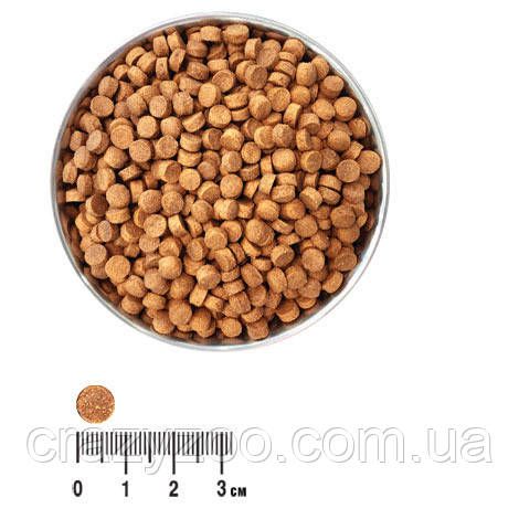 Сухой корм для собак малых пород Ekko гранула с курицей 10 кг 4820249130124 | Зображення 1