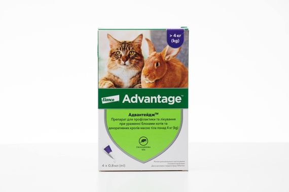 Капли от блох для декоративных кроликов и котов 4-8 кг Elanco Advantage, 4 пип