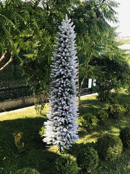 Ялинка лита Альпійська 220 см засніжена | Зображення 5