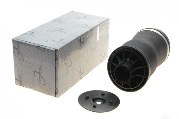 Подушка пневмопідвіски ззаду Mercedes Benz R-class W251 V251 06-14 02.30.384