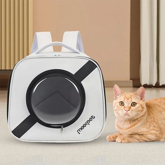 Рюкзак-переноска для кішок Taotaopets 35*30*23cm з ілюмінатором (MB12480-74735) | Зображення 3