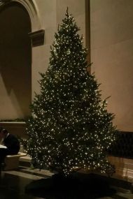 Гирлянда Роса 200 м с теплым белым светом – зеленая нить, пульт, 8 режимов