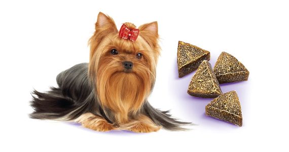 Ласощі для собак малих порід для здоров'я печінки Brit Care Mini Treats Liver Detox, 50 гр | Зображення 1