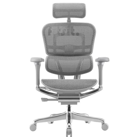 Кресло компьютерное ERGOHUMAN LUXURY 2 Gray (EHE2-AG-HAM-5D-L) | Зображення 8
