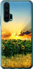 Чехол на Huawei Honor 20 Pro Украина "1601u-1702-17620"