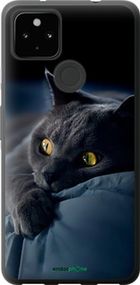 Чохол на Google Pixel 5A Димчастий кіт "825t-2286-2448"