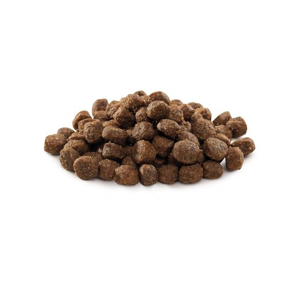 Корм сухий Brit Premium Dog Adult S для дорослих собак дрібних порід вагою 1-10 кг з куркою 1 кг | Зображення 1