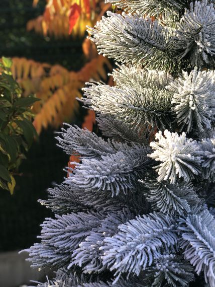 Ёлка искусственная пышная Сосна 100% литая 180 см заснеженная | Зображення 1