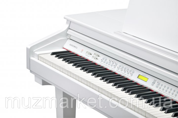 Цифровий рояль Kurzweil KAG-100 WHP | Зображення 3