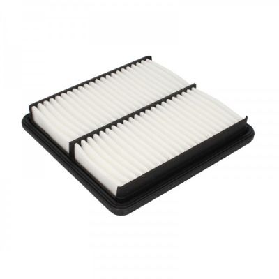 Воздушный фильтр для автомобиля Mann C2229