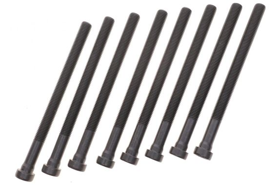 Болти головки к-кт 8шт. Audi A4 A5 A6 A8 Q7 Skoda Superb VW Passat Touareg 2.5-3.0TDI 00- 14-32196-01