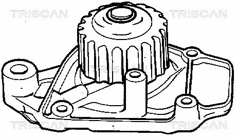 Водяний насос, помпа HONDA CIVIC, ROVER 200, HONDA CRX, TRISCAN (860040908) | Зображення 1