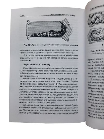 Книга "Настільна книга бджоляра" Бондарєва О.Б. | Зображення 3