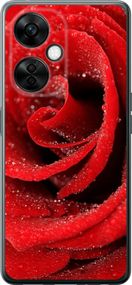 Чехол на OnePlus Nord CE 3 Lite 5G Красная роза "529u-3144-17620"