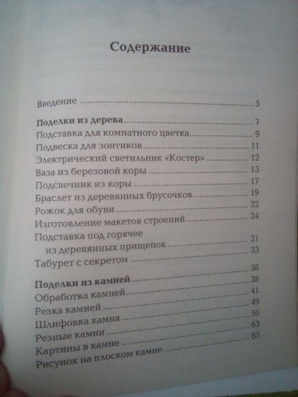 М.В.Бина Поділки та картини з природних матеріалів 2011 рік | Зображення 1