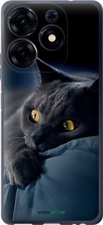 Чохол на Tecno Spark 10 Pro Димчастий кіт "825u-3022-2448"