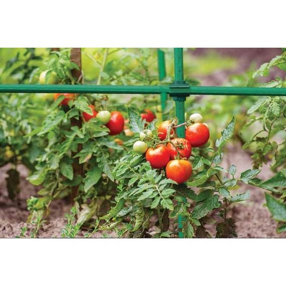 Опора садова Bradas сталева 2,0 х 240 см TYP20240 | Зображення 1