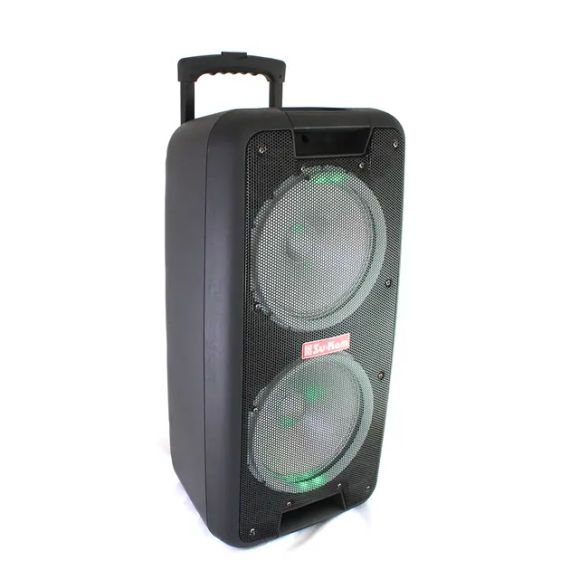 Портативна колонка Su-Kam 1010 + 2 мікрофони + BT 12v220v | Зображення 2