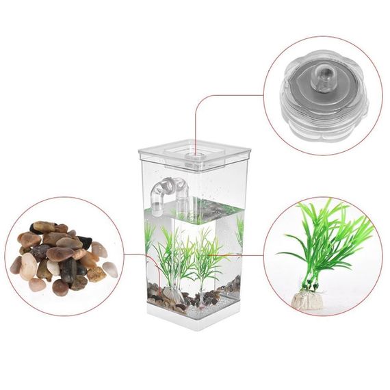 Акваріум самоочисний 2л, з LED підсвічуванням, My Fun Fish / Маленький акваріум для рибок з удароміцного пластику | Зображення 4