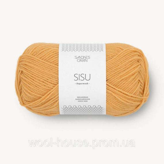 Шкарпеткова пряжа Sandnes Garn Sisu 50 г, 2325