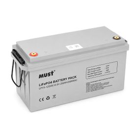 Акумуляторна батарея Must LiFePO4 LP15-12200 12,8V 200Ah, 2,56kWh, BMS100A@4S, 6000 cycles, 502x185x243, 23kg