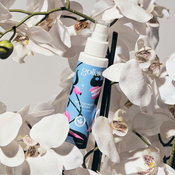 Антибактериальный спрей для игрушек Goliate Nettoyant Sextoy 100 мл, безопасный для тела | Зображення 8