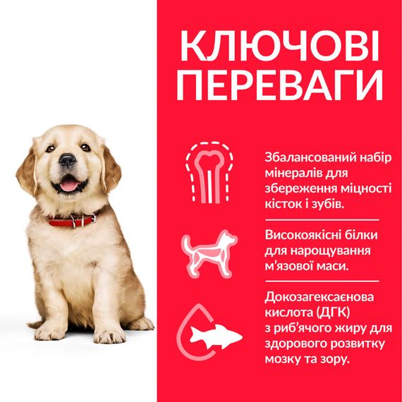 Корм Hill's Science Plan Puppy Large Breed Chicken сухий з куркою для щенят великих та гігантських порід 14.5 кг | Зображення 1