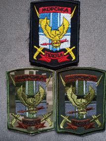 Шеврон Морская пехота ДШБ 36 ОБМП Украина Спецназ - 3шт (цветной,пиксель,зеленый)