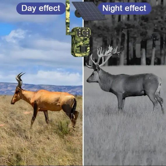 Камера для охоты на солнечной батарее A8S 4G, датчик движения, камуфляж | Зображення 3