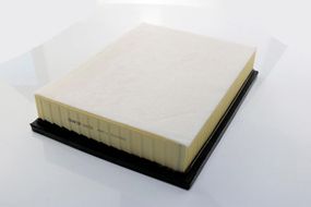 Фільтр повітряний SHAFER SX4219 Toyota Land Cruiser 150, Prado, 4 Runner, FJ Cruiser, Lexus GX460, 4.0, 09-