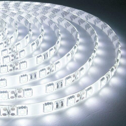 Світлодіодна стрічка OEM ST-12-5050-60-CW-65-V2 біла, герметична, 1м | Зображення 4