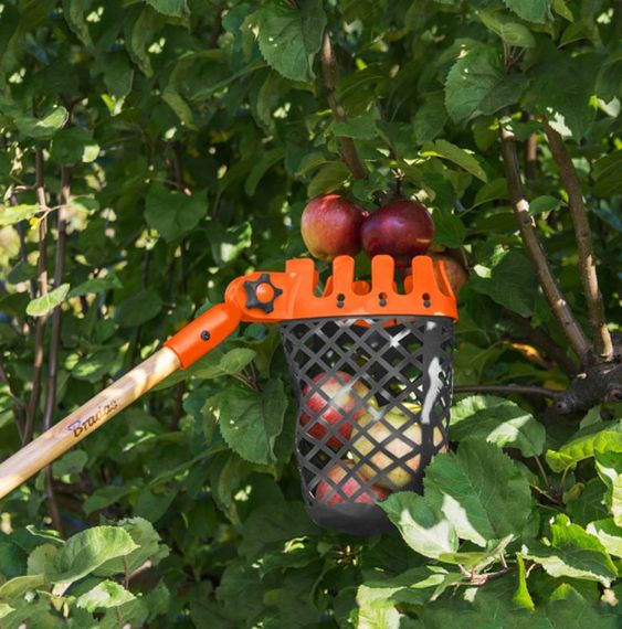 Плодознімач Bradas V-SERIES-P кошик, без держака KT-V1532H | Зображення 1