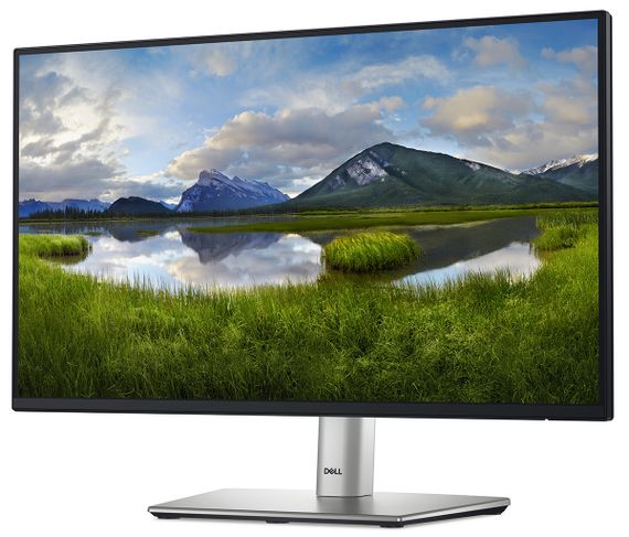 Монитор DELL 21.5&quot; P2225H D-Sub 210-BMHD | Зображення 1