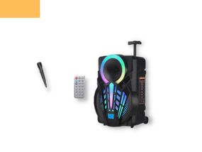 Портативная колонка XPRO GZ-W1312 чемодан  30Вт, USB, SD, FM радио, Bluetooth, 1 микрофон, ДУ (MER-15680)