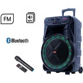 Портативная колонка SS-7272 акустическая система с караоке аккумуляторная + USB/SD/TF/Bluetooth/TWS QY-50