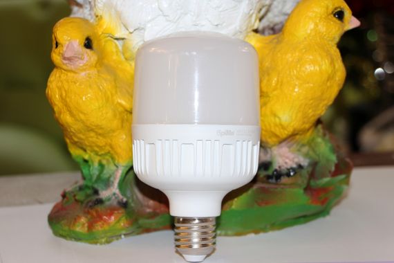 Лампа для увеличения яйценоскости птиц LED E27 15W Egg 220V | Зображення 6