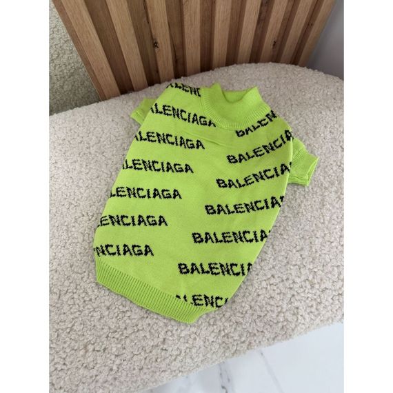 Брендовый свитер для собак Balenciaga двухслойная вязка, с надписями по бокам, зеленый