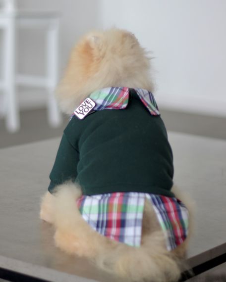 Толстовка з сорочкою смарагд Y-295 | Зображення 1