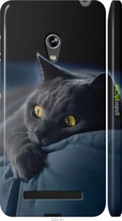 Чохол на Asus Zenfone 5 Димчастий кіт "825c-81-2448"